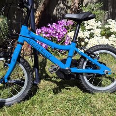 Ridgeback MX14