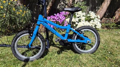 Ridgeback MX14