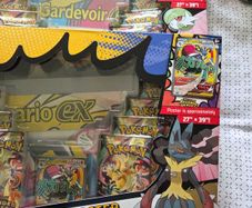 Pokemon Ascended Heroes