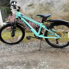 16" Team bike