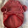 Dog Striped Nautical T Shirt Size XXS! Image 2