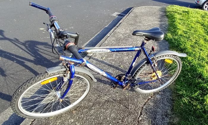 Classic Mountain Bicycle