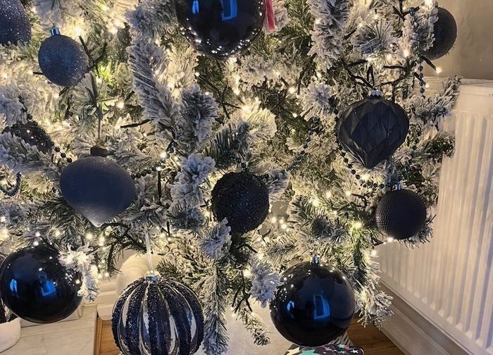 Christmas tree and stand