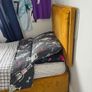 Plush Mustard Velvet Single Bed (3ft) Image 2
