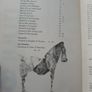 Innte 6, irish language poetry magazine 1981 Image 3