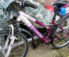 Ladies Bike