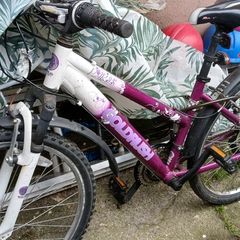 Ladies Bike