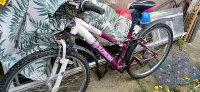 Ladies Bike