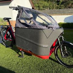 Riese & Muller Packster 70 Family Cargo bike