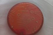 Clarins bronzer