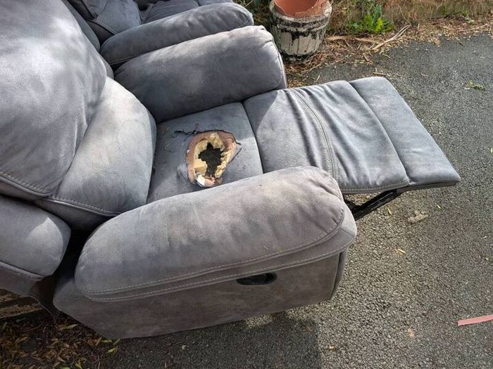 Free - Recliners