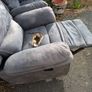 Free - Recliners Image 6