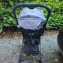 fold up buggy Image 2
