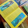 Old Vintage Annuals 70's and 80's Image 9