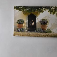 large picture