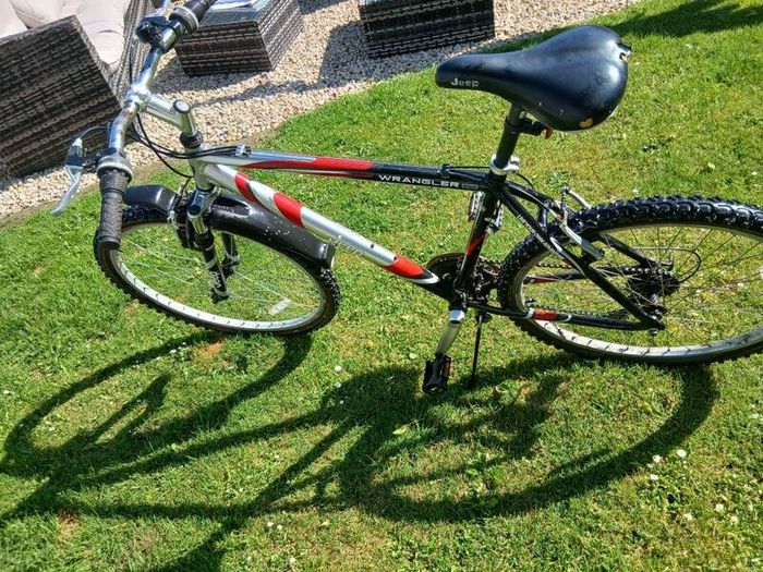 Adult's Bike