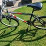 Adult's Bike Image 2