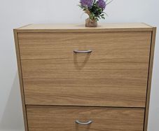 Shoe cabinet with 3 compartments
