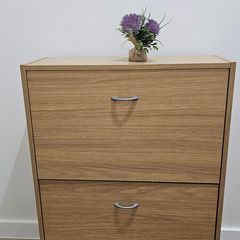 Shoe cabinet with 3 compartments