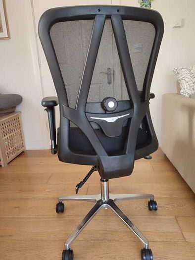 Ergonomic Office Chair