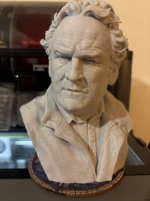 Colm Meaney bust