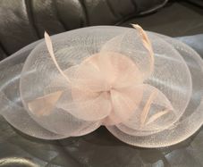 Light pink hair accessories