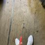 Scotty Cameron Image 6