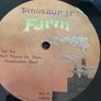 Dinosaur Jr. - Farm (Limited Edition) Image 9