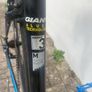 Giant Roam 3  Hybrid Image 6