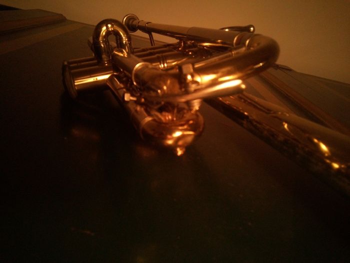 Bach Stradivarius Model 239 (in C) Professional trumpet