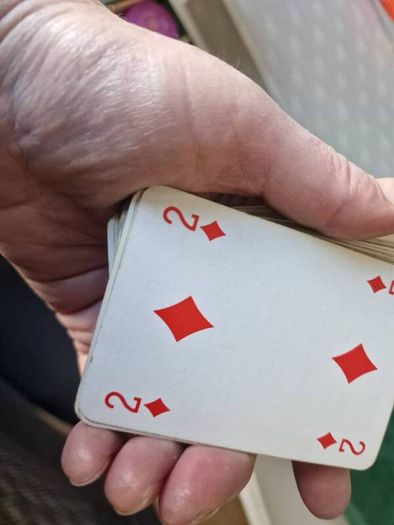 00s Velvet Poker Set