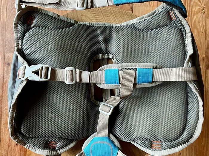 Dog Backpack