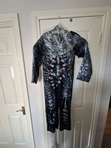 Boys Dragon Halloween costume age 9-10years
