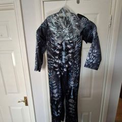 Boys Dragon Halloween costume age 9-10years
