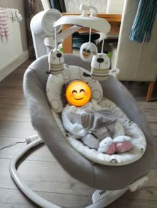 Joie Serina Swivel Swing