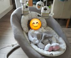 Joie Serina Swivel Swing