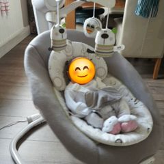 Joie Serina Swivel Swing