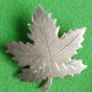 Vintage Bond Boyd Sterling Silver Pin Brooch Maple Leaf 3,9g Image 2