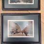Pictures  Of Tralee ( Co Kerry)  Many Years Ago  X 3 Image 8