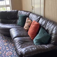 Brown leather couch and armchair