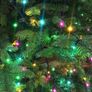 Brand new 1000 Rainbow LED Christmas Fairy lights Image 3