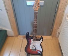 ION electric guitar