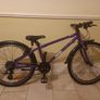 Frog bike 62 (24 inch) Image 2