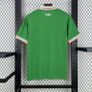 Ireland 2025/26 Home Jersey Image 2