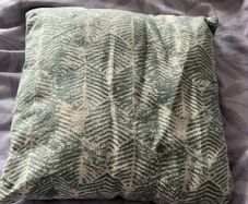 4 white and duck egg blue cushions