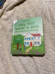 Irish language children's book