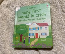 Irish language children's book
