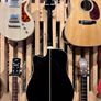 1993 Takamine FP3410 (CD) Electro Acoustic Image 5