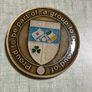 GAA medal from South Korea. Seoul Gaels Image 2