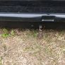 Roofbox Image 6